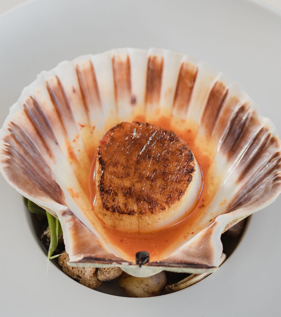 Barfoodplus